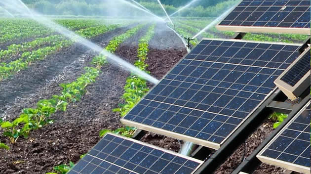 Tecnificación del Campo en Yucatán: 19 Sistemas de Riego Solar Modernizan la Agricultura en Dzilam González